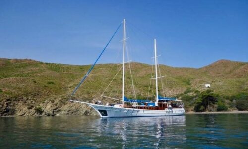 27 Metre 14 Kişi Bodrum Kiralık Gulet