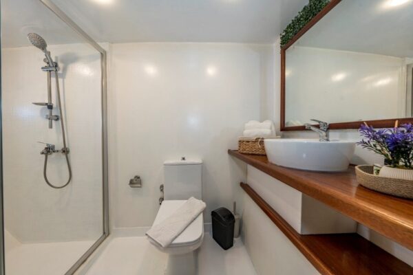 39 Metre 22 Kişi Fethiye Kiralık Delux Gulet